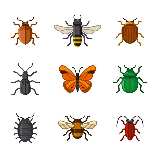 Insect Icons by In8finity - Wrapped Canvas Art Prints Brambly Cottage Size: 80cm H x 80cm W x 1.8cm D on Productcaster.