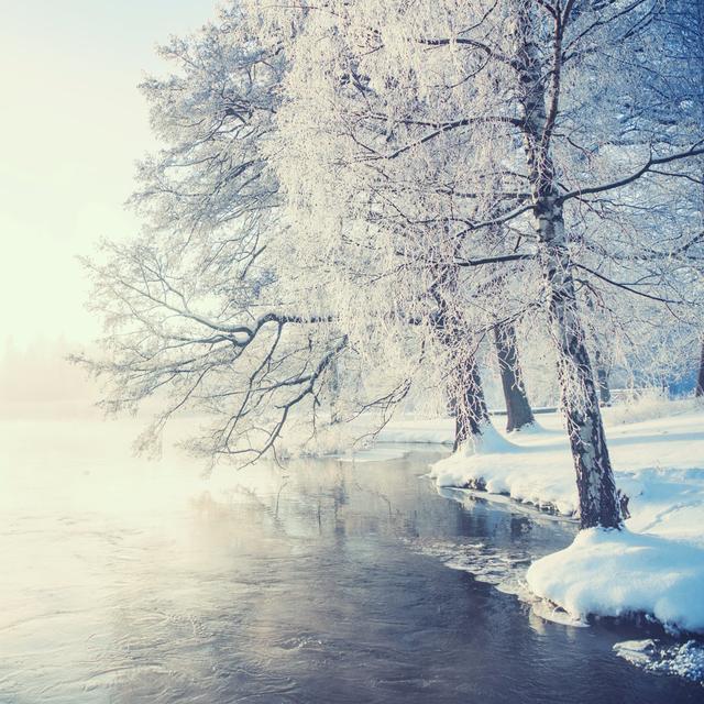 Winter In Sweden by Knape - Wrapped Canvas Print 17 Stories Size: 91cm H x 91cm W x 3.8cm D on Productcaster.