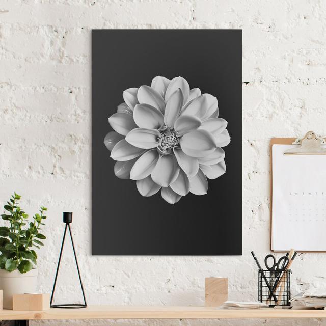 Dahlia Black and White - Wrapped Canvas Graphic Art Ebern Designs Colour: Black/White, Format: 260g/m² canvas, Size: 90cm H x 60cm W on Productcaster.