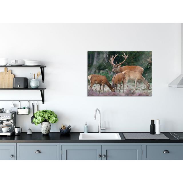 Deer Family In A Forest Clearing - No Frame Print on Glass Union Rustic Size: 60cm H x 80cm W x 0.4cm D on Productcaster.