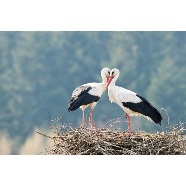 Stork - Wrapped Canvas Photograph Ebern Designs Size: 60.96cm H x 91.44cm W on Productcaster.