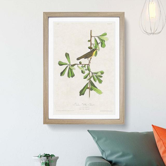 Roscoes Yellow-Throat Bird by John James Audubon - Picture Frame Graphic Art Print East Urban Home Size: 60cm H x 40cm W x 2cm D, Frame Option: Oak on Productcaster.