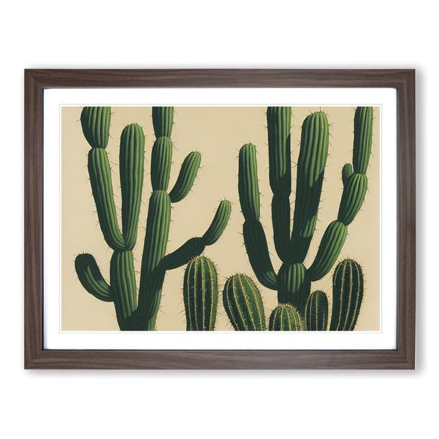 A Contemporary Cactus - Picture Frame Graphic Art Natur Pur Size: 46cm H x 64cm W x 2cm D, Frame Colour: Walnut on Productcaster.