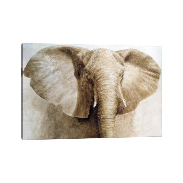 Elephant by Lincoln Seligman - Wrapped Canvas Gallery-Wrapped Canvas Giclée Latitude Vive Size: 20.32cm H x 30.48cm W x 1.905cm D on Productcaster.