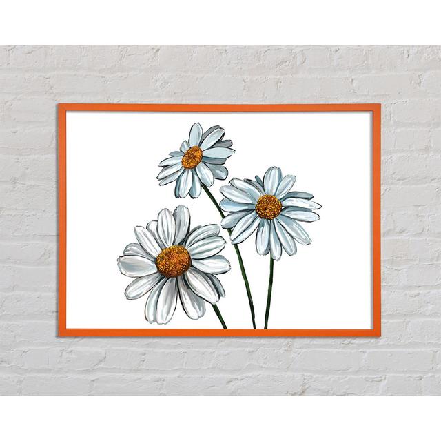 Caro White Daisy Trio - Einzelner Bilderrahmen Kunstdrucke Sommerallee Größe: 42 cm H x 59,7 cm B x 2 cm T on Productcaster.