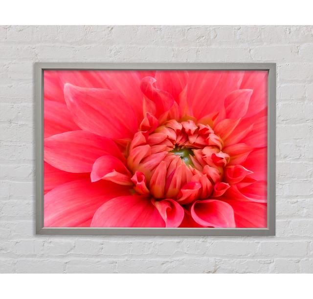 Delicate Pink Petal Head - Single Picture Frame Art Prints on Canvas Ebern Designs Size: 59.1cm H x 84.1cm W x 3.3cm D on Productcaster.