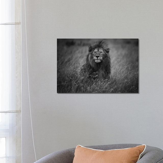 Lion King by Mohammed Alnaser - Wrapped Canvas Gallery-Wrapped Canvas Giclée Latitude Run Size: 45.72cm H x 66.04cm W x 3.81cm D on Productcaster.