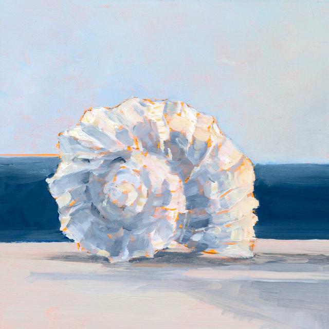 Shell by the Shore IV by Ethan Harper - Wrapped Canvas Painting Highland Dunes Size: 30cm H x 30cm W on Productcaster.