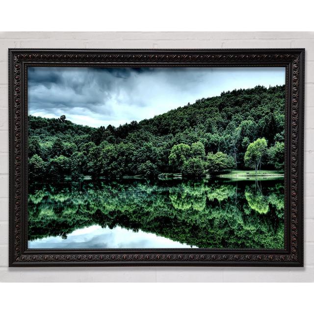 Forest Lake Reflection - Single Picture Frame Art Prints Bright Star Size: 21cm H x 29.7cm W x 3cm D on Productcaster.