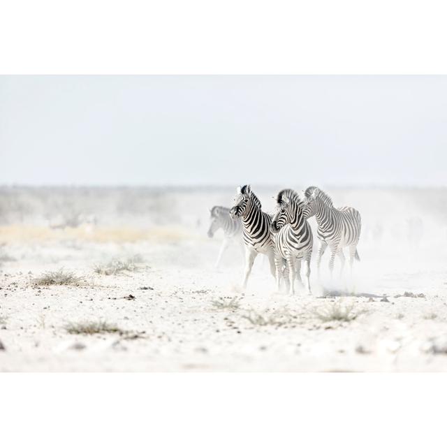 Zebra - Wrapped Canvas Photograph 17 Stories Size: 61cm H x 91cm W on Productcaster.