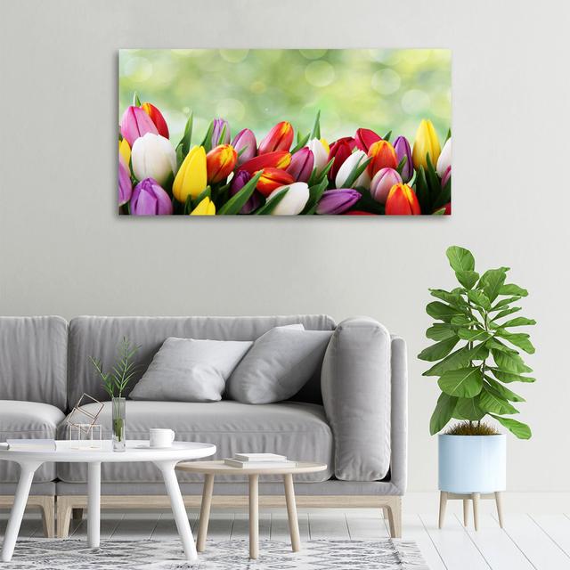 Colourful Tulips - Wrapped Canvas Art Prints Latitude Run on Productcaster.