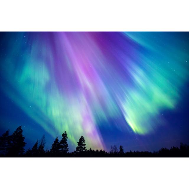 Anterius Fabulous Boreal Lights by Istock - Wrapped Canvas Print Metro Lane Size: 51cm H x 76cm W x 3.8cm D on Productcaster.