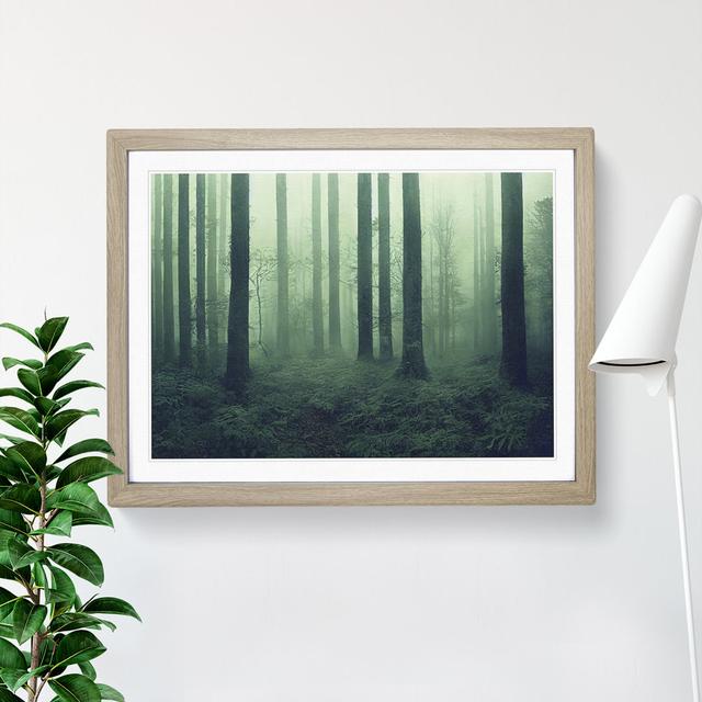 Dazzling Forest - Single Picture Frame Print Alpen Home Size: 34cm H x 46cm W x 2cm D, Frame Colour: Oak on Productcaster.