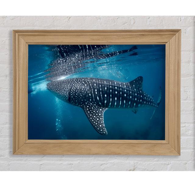 Gerahmtes Leinwandbild Spotted Whale Shark House of Hampton Format: Poster mit silberfarbenem Rahmen, Größe: 100cm H x 141.4cm W x 3.4cm D on Productcaster.