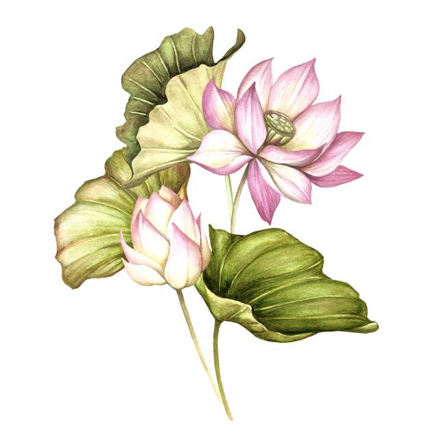 Piffard Watercolour Lotus - Wrapped Canvas Painting ClassicLiving Size: 91cm H x 91cm W x 3.8cm D on Productcaster.