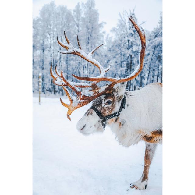 Reindeer Standing On A Snow by Serts - No Frame Painting on Canvas 17 Stories Size: 46cm H x 30cm W on Productcaster.