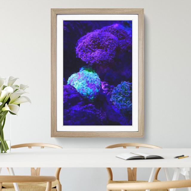 Luminescent Coral - Picture Frame Graphic Art East Urban Home Frame Option: Oak Framed, Size: 48cm H x 36cm W x 2cm D on Productcaster.