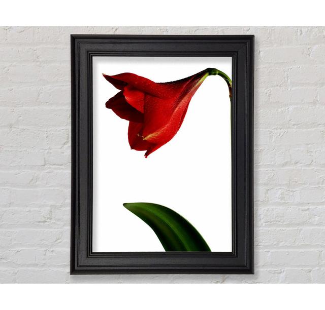 Single Picture Frame Art Prints Brayden Studio Size: 84.1cm H x 59.7cm W on Productcaster.