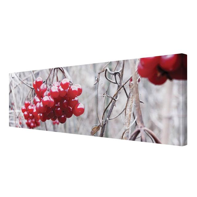 Forest Fruits - Wrapped Canvas Graphic Art Print East Urban Home Size: 120cm L x 40cm W on Productcaster.