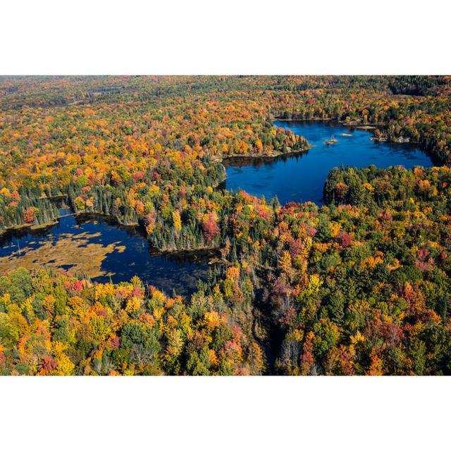 Aerial View Of Canadian National Park In Autumn by Leopatrizi - Wrapped Canvas Art Prints Alpen Home Size: 51cm H x 76cm W x 3.8cm D on Productcaster.