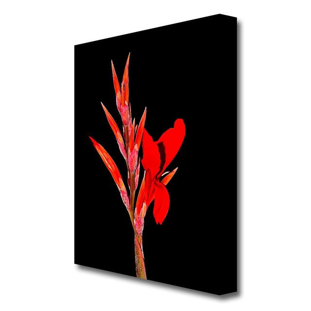 Red Night Flower Flowers Canvas Print Wall Art East Urban Home Size: 50.8 cm H x 35.6 cm W on Productcaster.