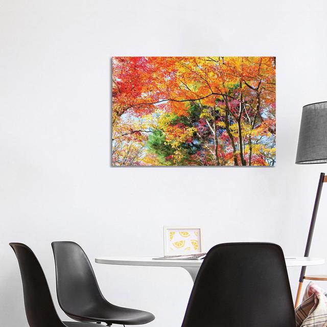 Autumn Foliage In Kyoto, Japan by Jan Becke - Wrapped Canvas Print Latitude Run Size: 66.04cm H x 101.6cm W x 3.81cm D on Productcaster.