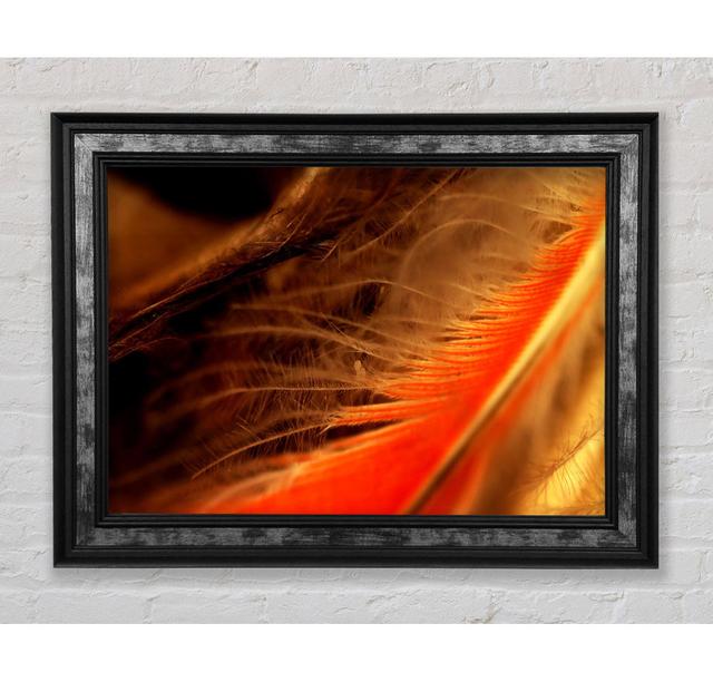 Orange Feather Macro Framed Print Bright Star Size: 59.7cm H x 84.1cm W x 8cm D on Productcaster.