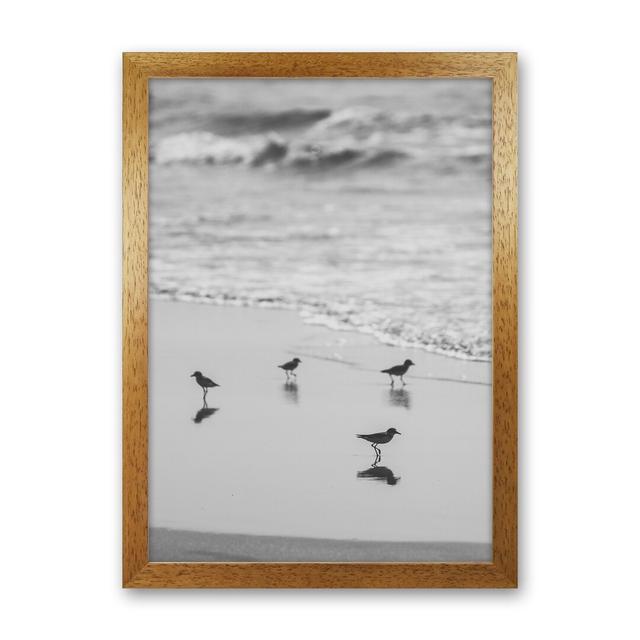 Beach Club Photography Print by Victoria Frost - Photograph Print Highland Dunes Format: Oak Framed, Size: 46cm H x 34cm W x 3cm D on Productcaster.