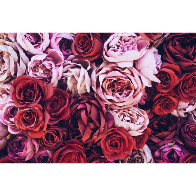 Red and Pink Roses by Merethe Eeg - Wrapped Canvas Photograph 17 Stories Size: 51cm H x 76cm W on Productcaster.