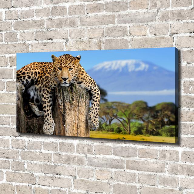 Leopard on the Trunk - Wrapped Canvas Art Prints Ebern Designs on Productcaster.