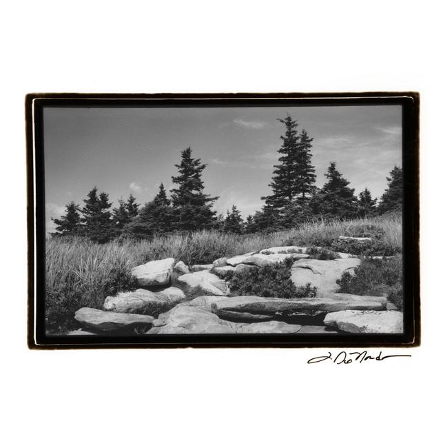 Rocky Green by Laura DeNardo - Wrapped Canvas Photograph Union Rustic Size: 20cm H x 30cm W on Productcaster.