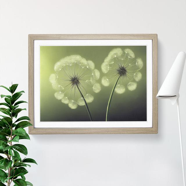 Soulful Dandelion Flowers - Picture Frame Graphic Art 17 Stories Size: 34cm H x 46cm W x 2cm D, Frame Colour: Oak on Productcaster.