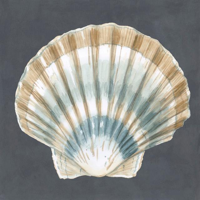 Shell On Slate III By Megan Meagher - Wrapped Canvas Painting Print House of Hampton Size: 51cm H x 51cm W on Productcaster.