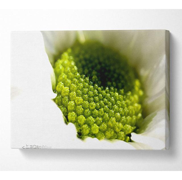 Macro Centre Of A Daisy - Wrapped Canvas Art Prints Natur Pur Size: 101.6cm H x 142.2cm W x 10cm D on Productcaster.