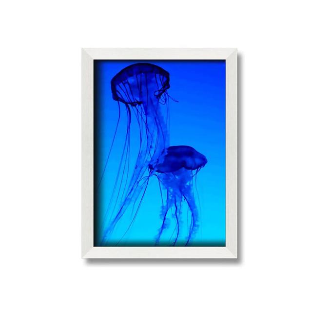 Jellyfish Duo Framed Print House of Hampton Size: 59.7cm H x 42cm W x 10cm D, Format: White Framed Paper on Productcaster.