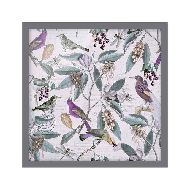 Vintage Collage - Nostalgic Birds - Picture Frame Graphic Art Rosalind Wheeler Size: 70cm H x 70cm W x 2cm D, Frame Option: Grey on Productcaster.