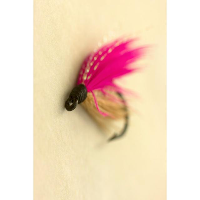 Macro Lure I Highland Dunes Size: 30cm H x 20cm W on Productcaster.