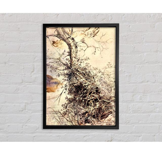 Rubens Study of Tree Framed Print - Picture Frame Graphic Art on Canvas Alpen Home Size: 141.4cm H x 100.1cm W x 3.3cm D, Format: Walnut Framed Canvas on Productcaster.