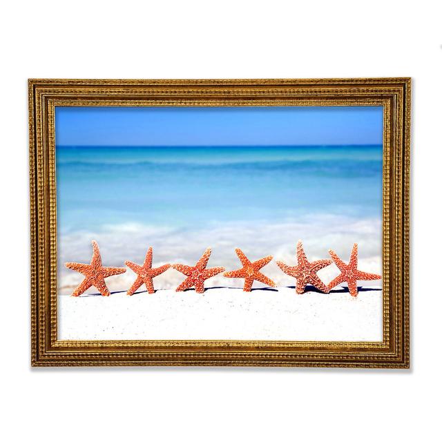 Star Fish Line-Up - Print Bright Star Size: 29.7cm H x 42cm W x 3cm D on Productcaster.