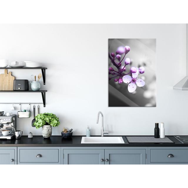 Cherry Blossom - Unframed Photograph on Glass Brayden Studio Colour: Black, Size: 100cm H x 70cm W x 0.4cm D on Productcaster.