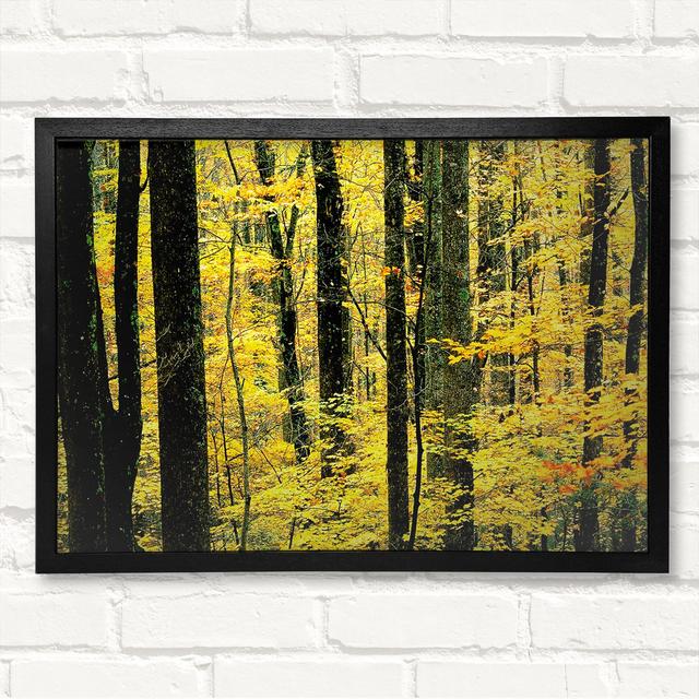 Yellow Woodland - Single Picture Frame Art Prints Union Rustic Size: 21cm H x 29.7cm W x 3cm D, Format: Black Framed Wood on Productcaster.