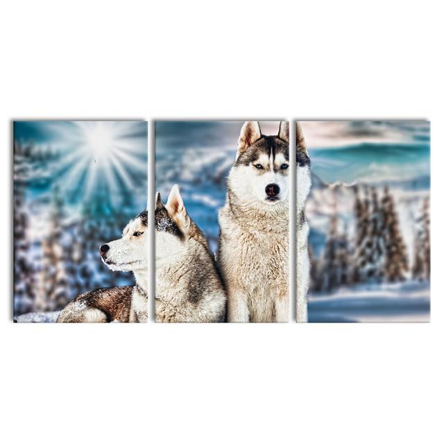 Two Wild Huskies - 3 Piece Wrapped Canvas Photograph Print Set East Urban Home Size: 240 cm H x 120 cm W x 2.4 cm D on Productcaster.