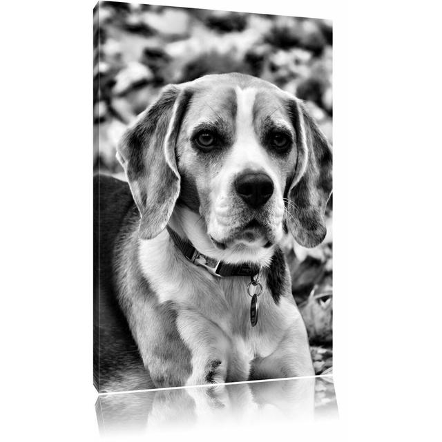 Leinwandbild Kleiner Beagle im Laub in Monochrom East Urban Home Größe: 120 cm H x 80 cm B on Productcaster.