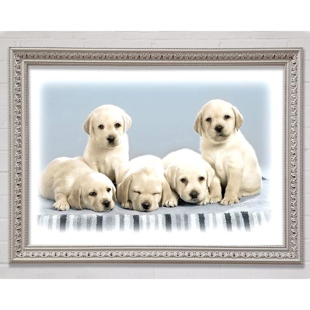 Cute Puppies Framed Print Bright Star Size: 100cm H x 141.4cm W3cm D on Productcaster.