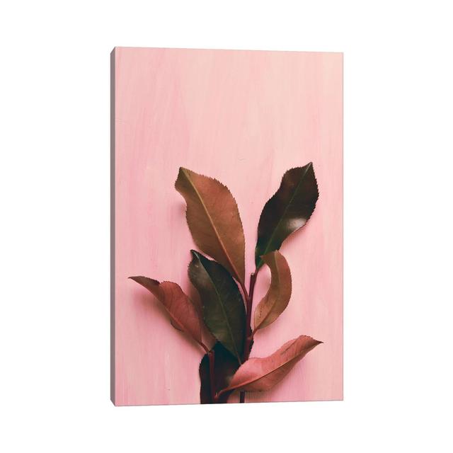 Foliage I by Olivia Joy StClaire - Wrapped Canvas Gallery-Wrapped Canvas Giclée Latitude Run Size: 45.72cm H x 30.48cm W x 1.91cm D on Productcaster.