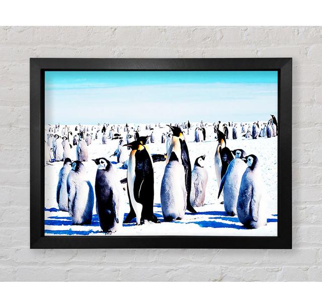 Penguin Meeting Place Framed Print Wall Art House of Hampton Size: 100.1cm H x 141.4cm W x 3.4cm D, Format: Black Framed Paper on Productcaster.