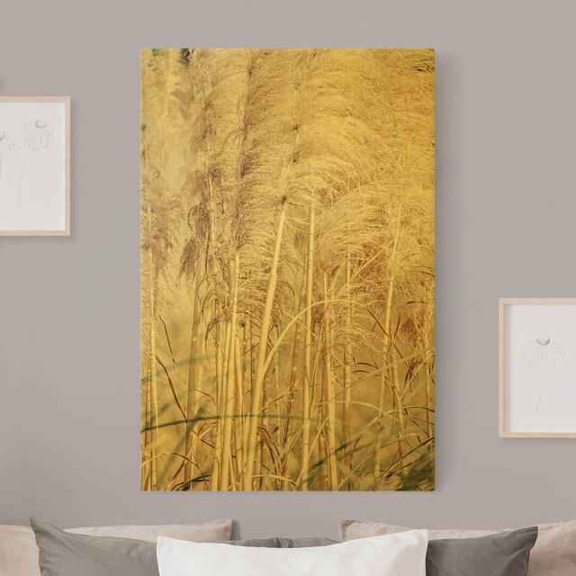 Warm Pampas Grass in Summer by Monika Strigel - Wrapped Canvas Painting August Grove on Productcaster.