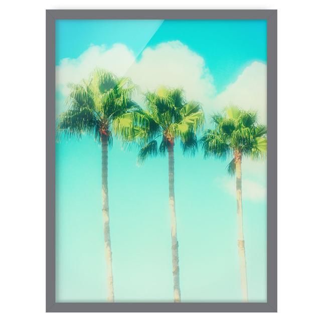 Palm Trees in Front of Sky Blue - Picture Frame Photograph Bay Isle Home Frame Option: Grey Framed, Size: 100cm H x 70cm W x 2cm D on Productcaster.