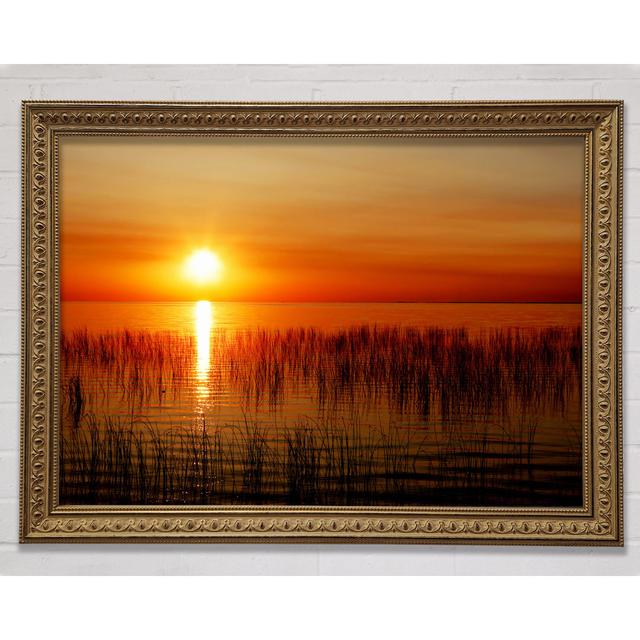 Sonnenuntergang über dem Schilfmeer - Einzelner Bilderrahmen Kunstdrucke Bright Star Größe: 84,1 cm H x 118,9 cm B on Productcaster.