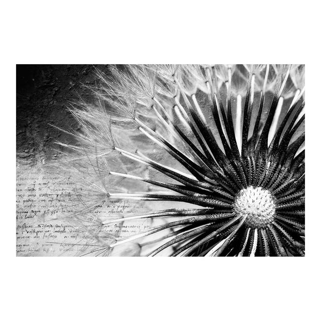 Dandelion 2.9m x 4.32m Textured matt Peel & Stick Wall Mural East Urban Home on Productcaster.